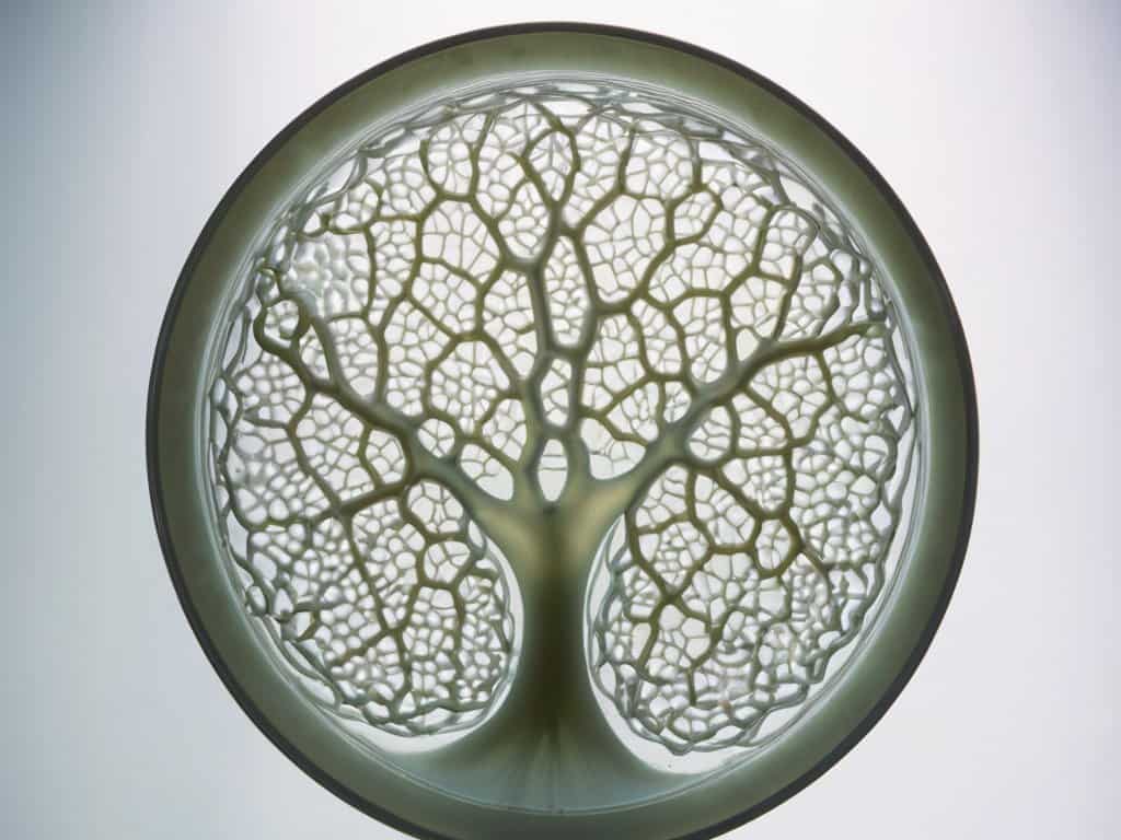 Tumoroid Culture for Oncology research